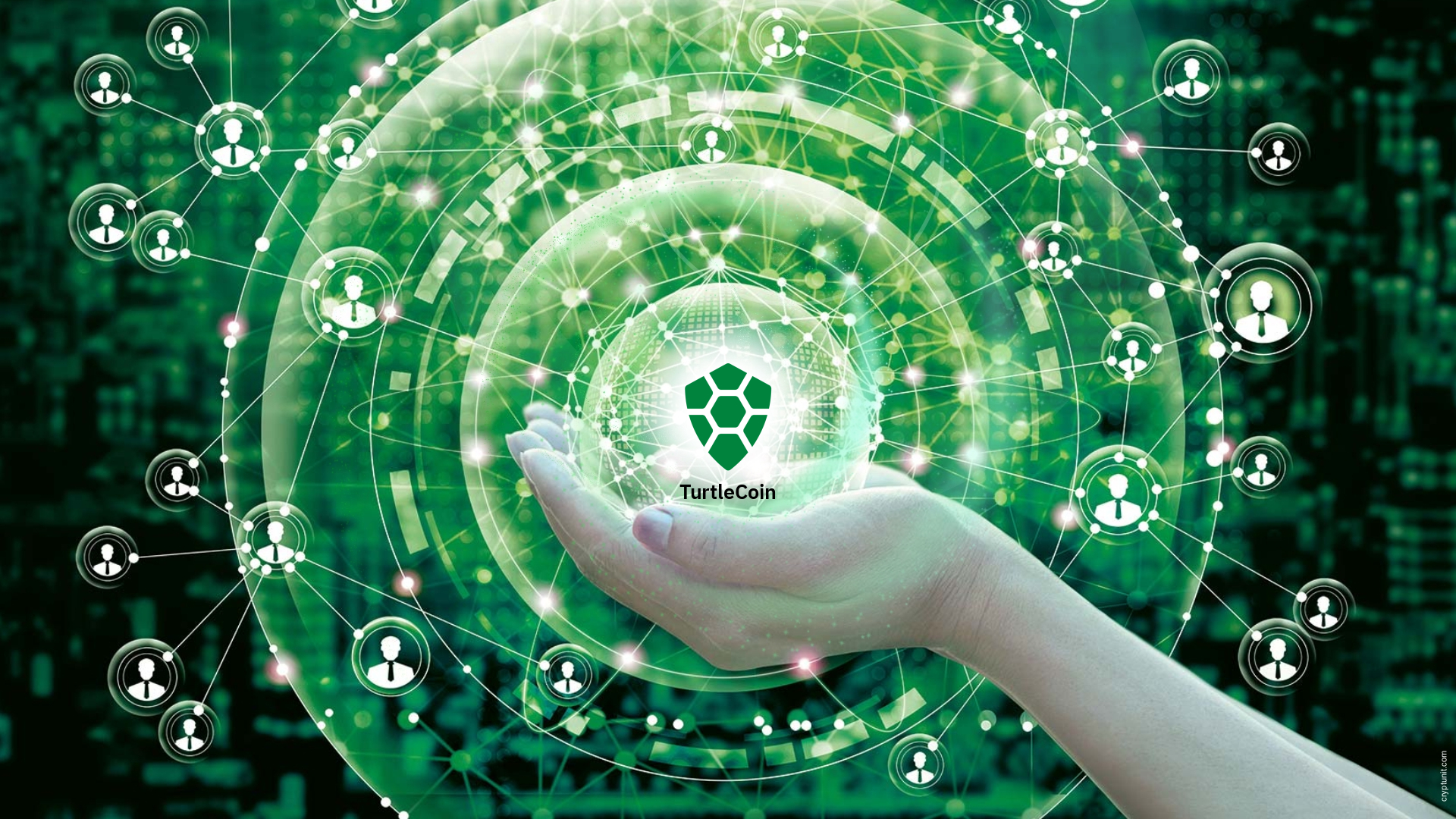 TurtleCoin promo graphics CryptUnit