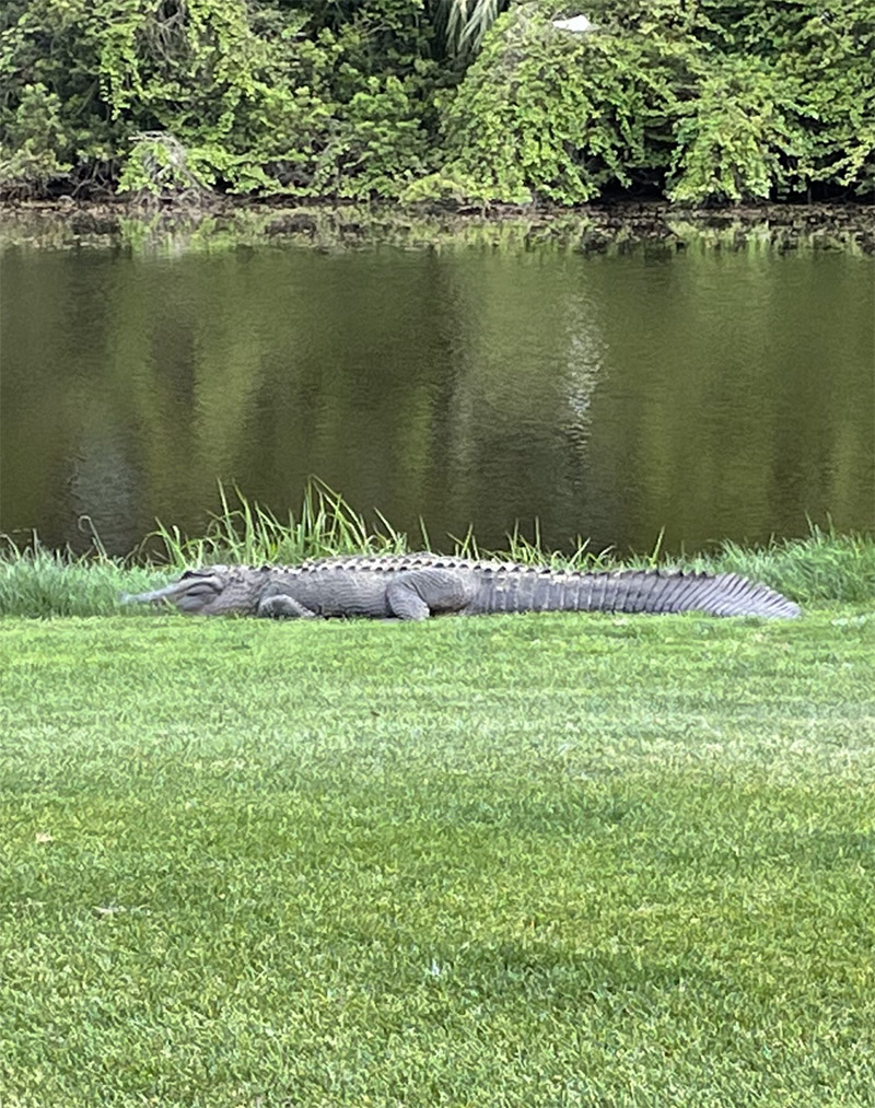 Kiawah Island, South Carolina Adventures April 2021
