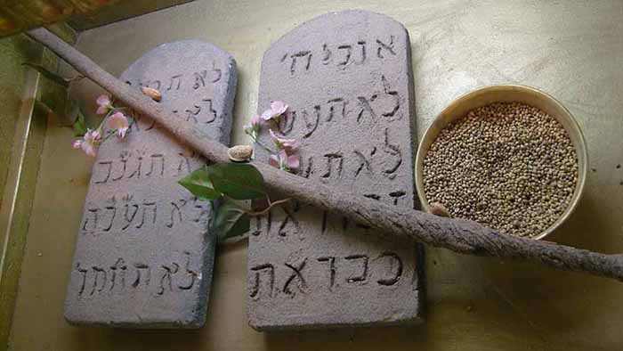 Ark of the Covenant Crystalinks