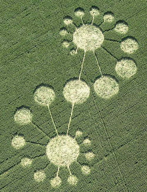Crop Circles Down the Rabbit Hole