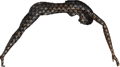 Goddess Nut And Creation