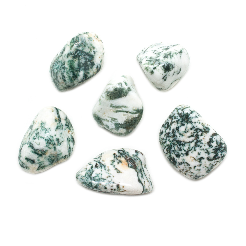 Moss Agate Tumbled Extra Large Crystal Vaults