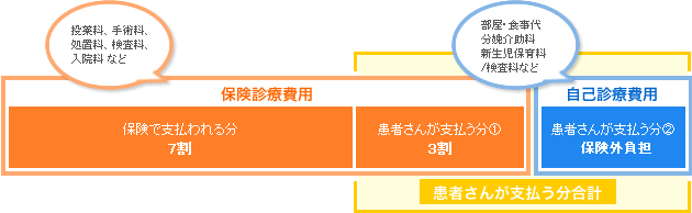 保険 入院 出産 Hoken Nays.