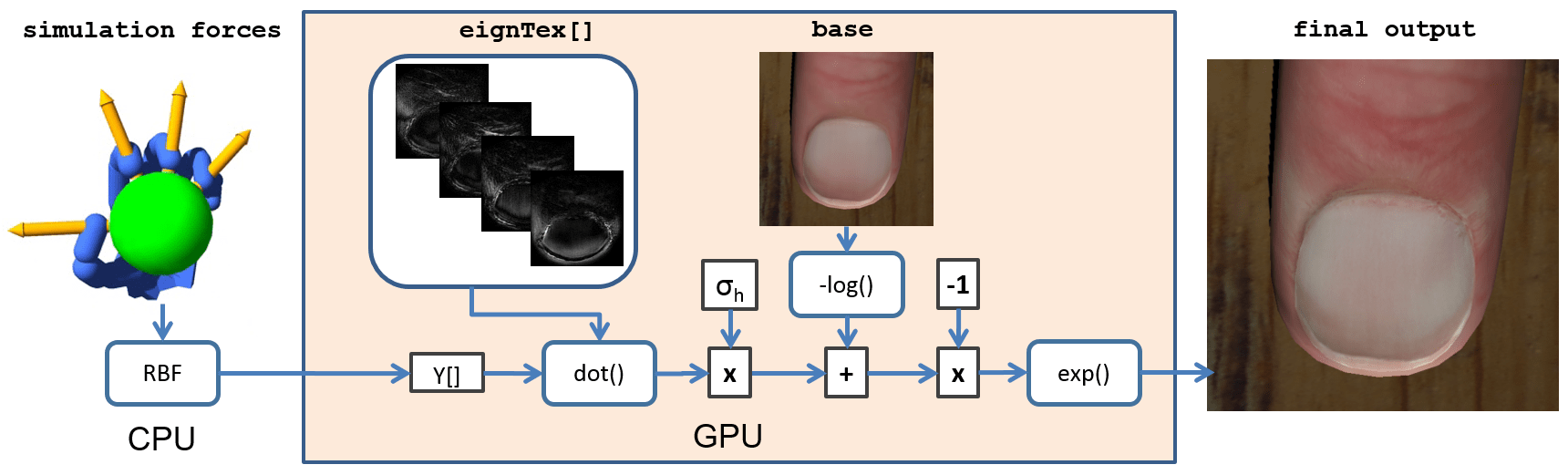 Datadriven Fingertip Appearance for Interactive Hand Simulation