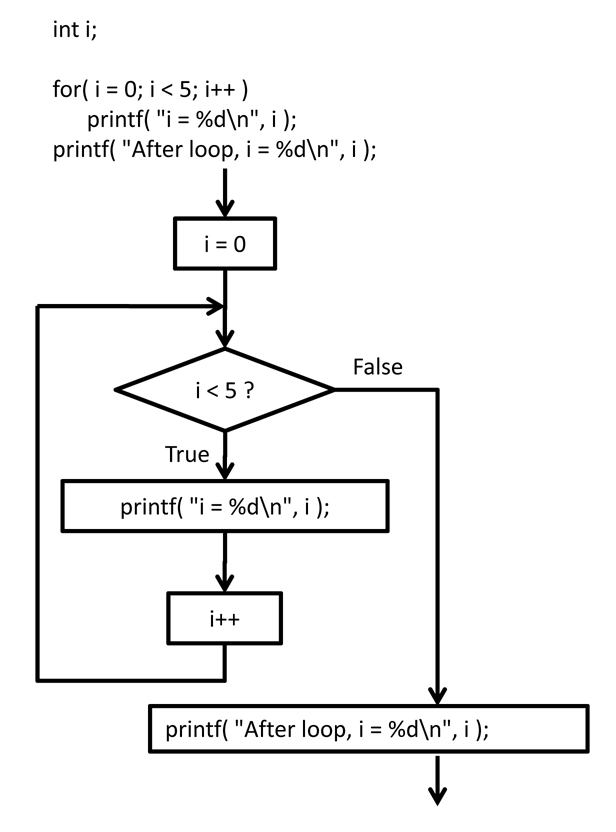 Real Computer Science begins where we almost stop reading Looping
