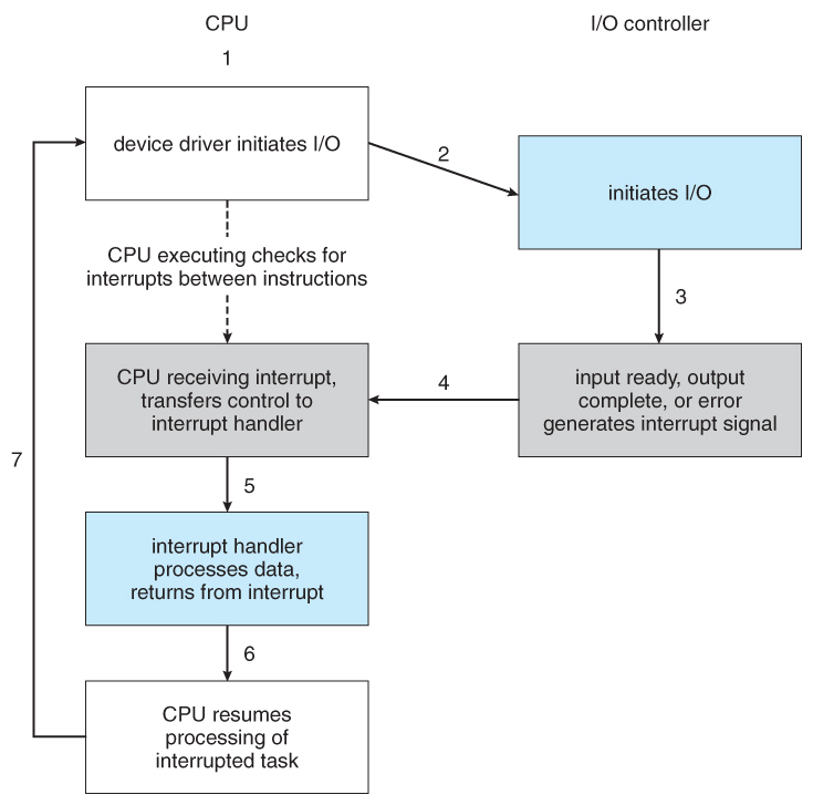 The ___ is an intermediary device between the cpu and the monitor.