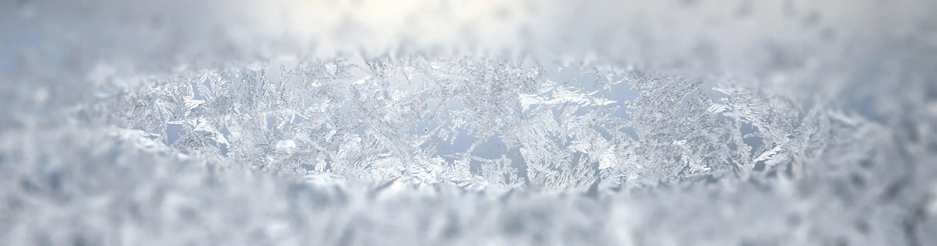 Acupuncture Louisville About Mateo Bernal Louisville Community