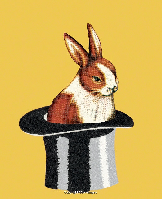 Rabbit in Top Hat 753019 CSA Images