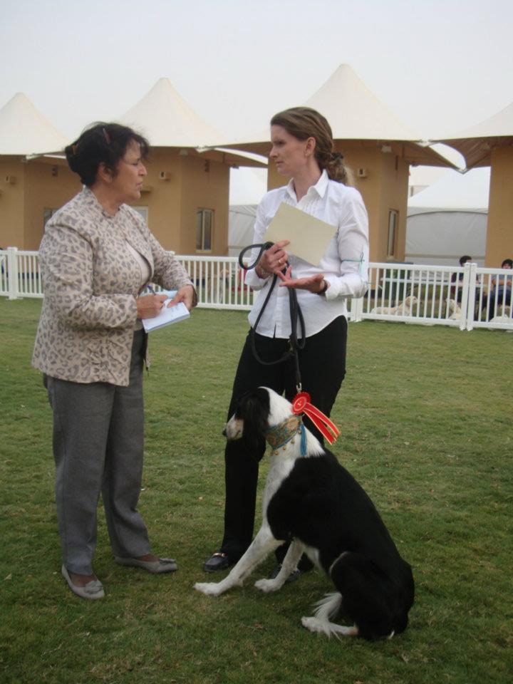 Cat Society of Bahrain and Pet Animals