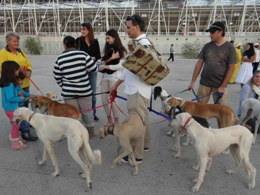 Cat Society of Bahrain and Pet Animals