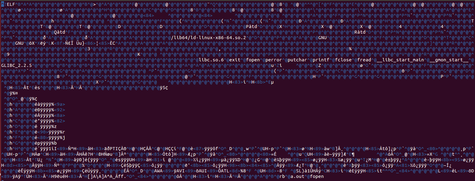 Binary I/O Functions CSCI3150 File System