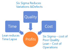 six sigma cost
