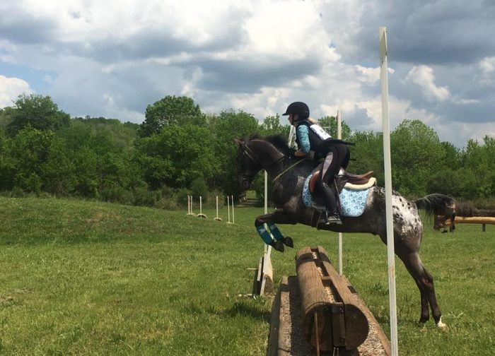 Cross Country CornerStone Equestrian