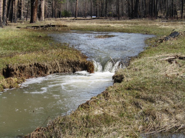 El Lago Titicaca Una Belleza De La Naturaleza Cada Vez Mas