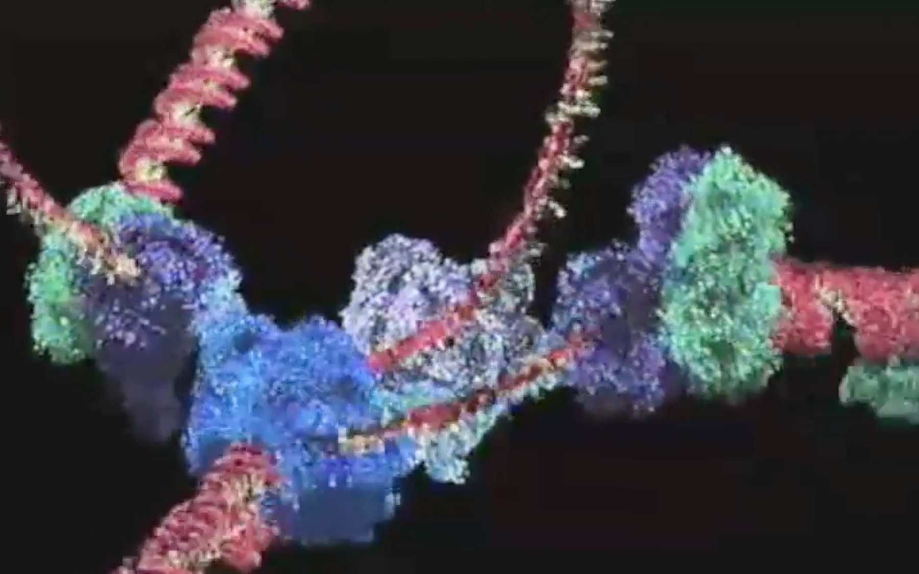 Quiescent cells brings to light the essential role of RNA interference Cold Spring Harbor