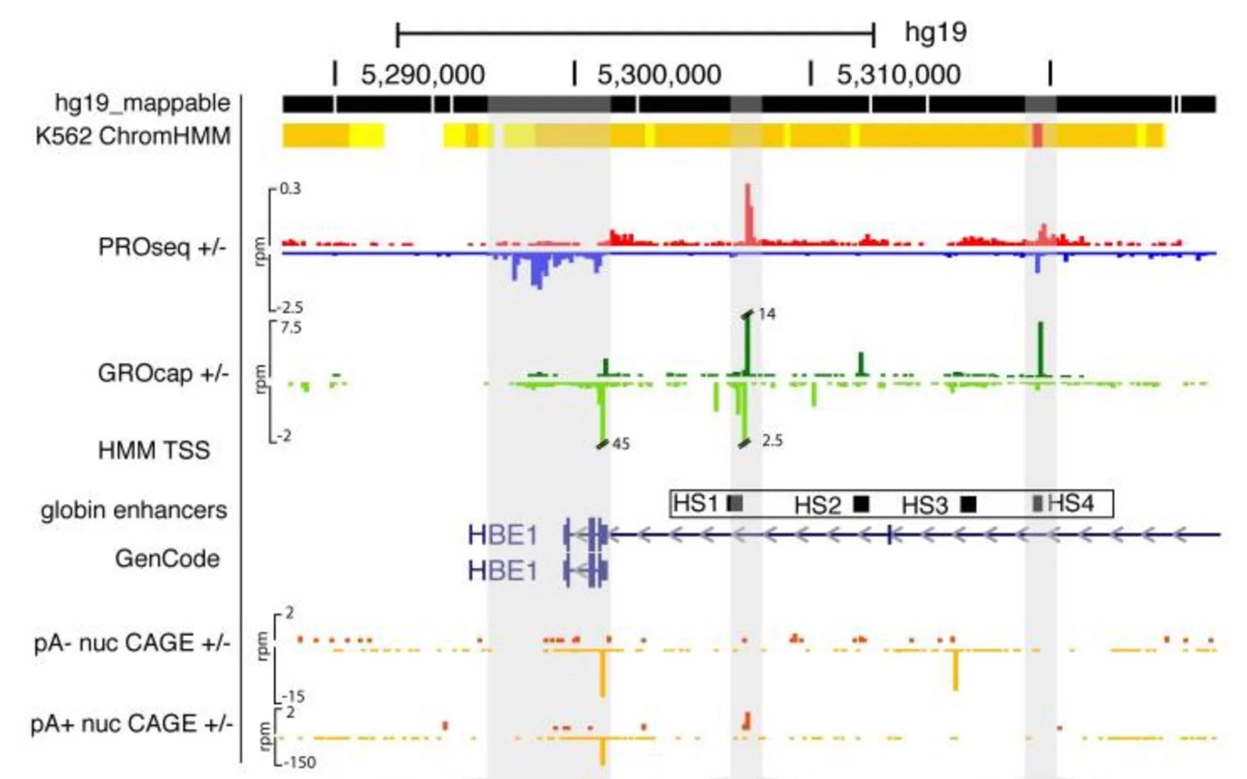 Relearning how to read a genome Cold Spring Harbor Laboratory Relearning how to read a genome Cold Spring Harbor Laboratory
