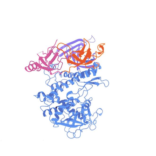 A molecular machine’s secret weapon exposed Cold Spring Harbor Laboratory