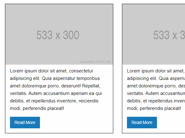 Lazy Load Image With Placeholder And Fallback - imagebuddy | CSS Script