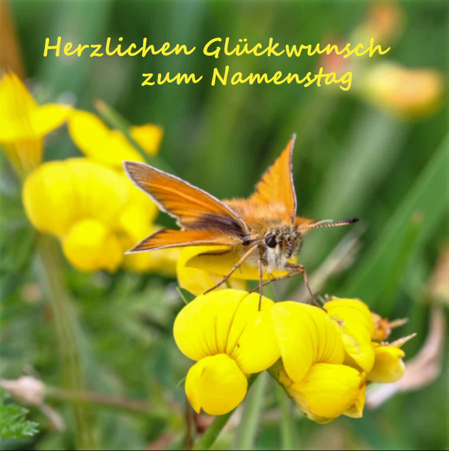 Glückwunschkarten