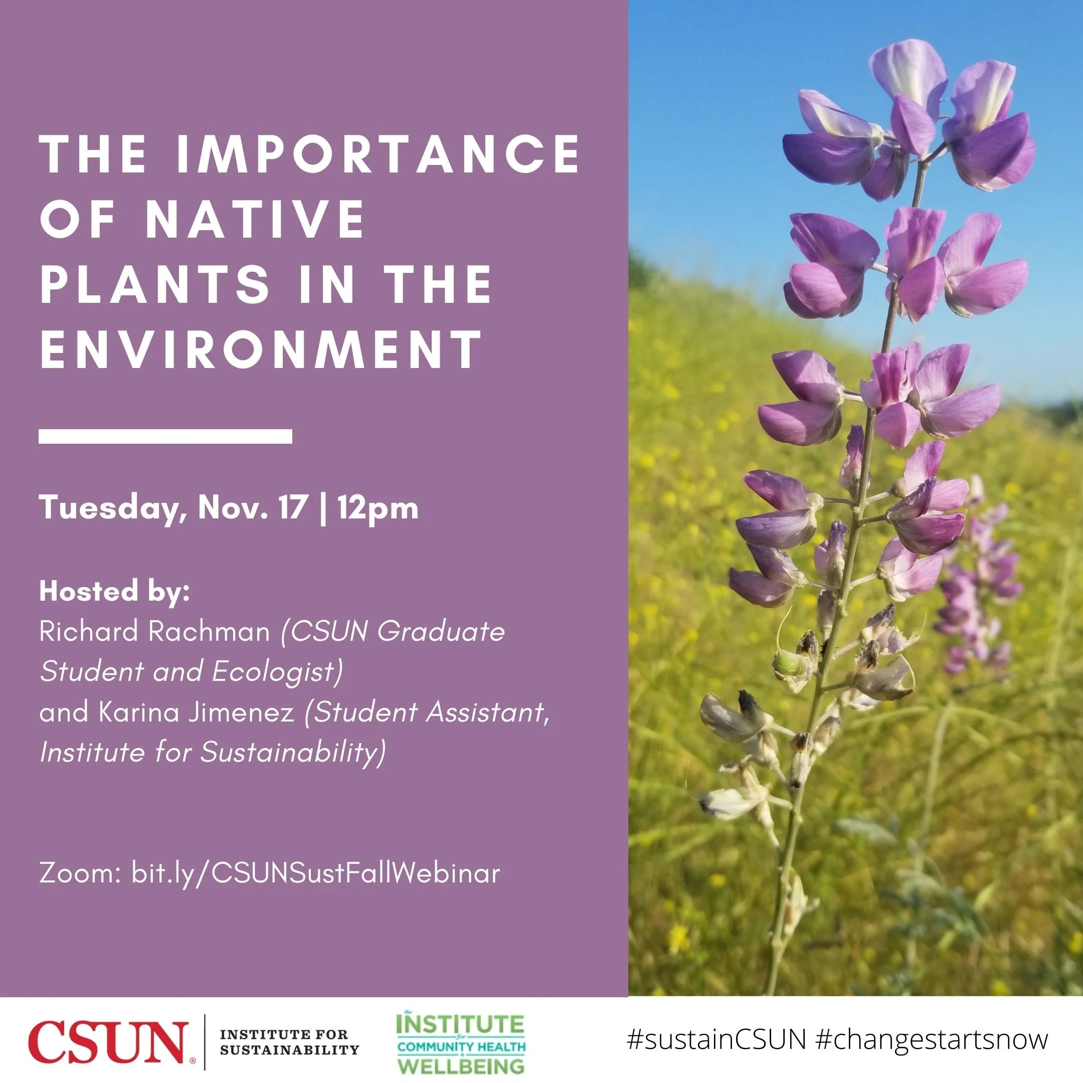 The Importance of Native Plants in the Environment California State University, Northridge