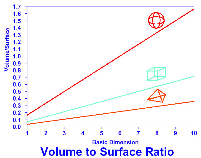 Surface Area to Volume Ratio