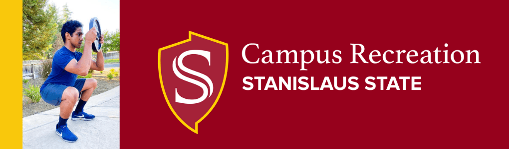 33 Csu Stanislaus Logo Pin Logo Icon
