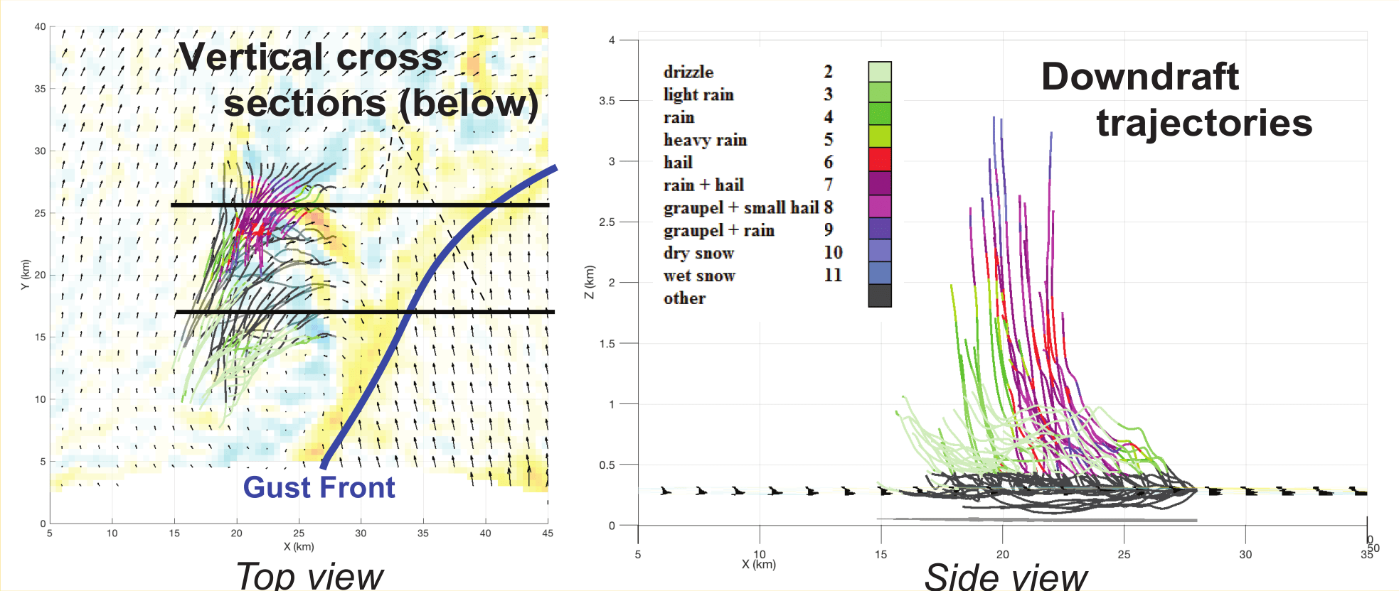VORTEXSE Downdraft Processes
