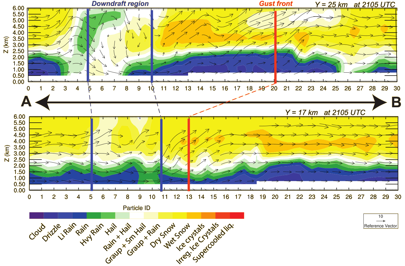 VORTEXSE Downdraft Processes