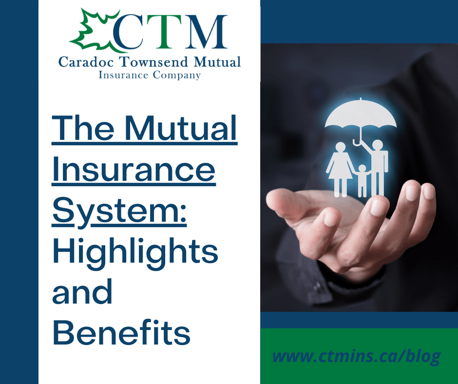 The Mutual Insurance System Unveiling its Highlights and Benefits