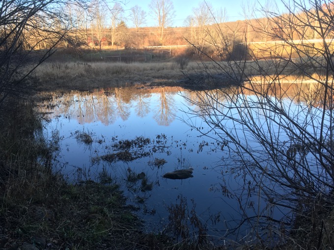 Wigwam Brook Wildlife Sanctuary