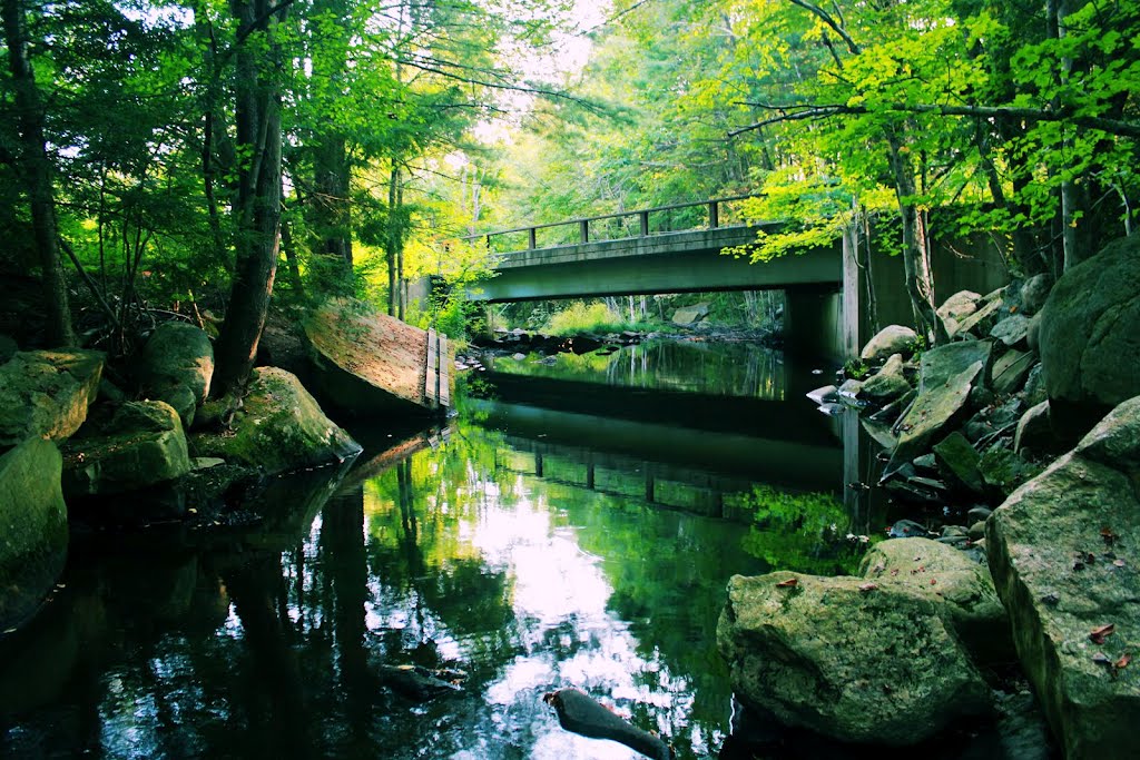 Sunnybrook State Park Intro