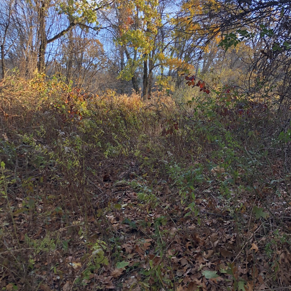 Pomfret Recreation Park