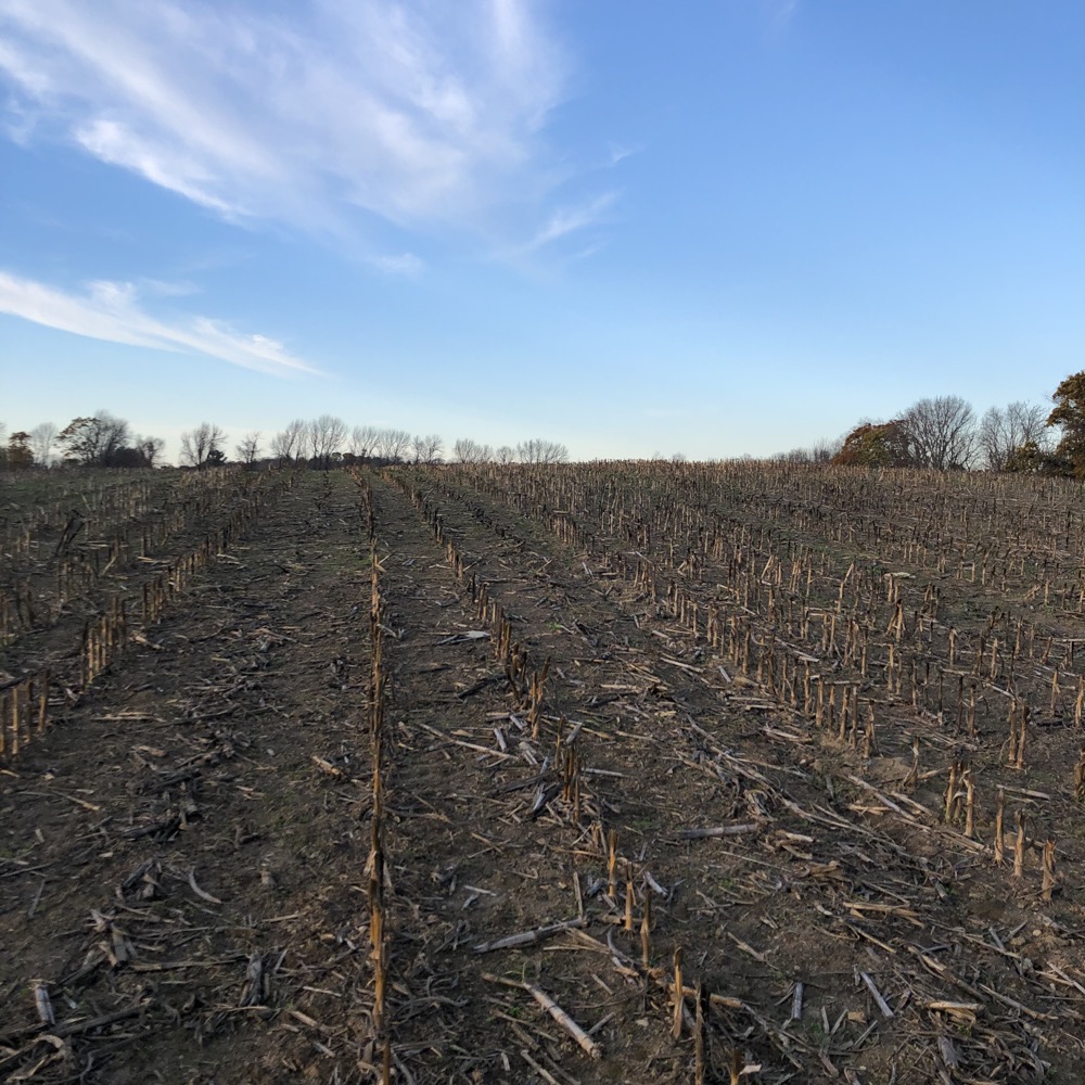 Pomfret Recreation Park