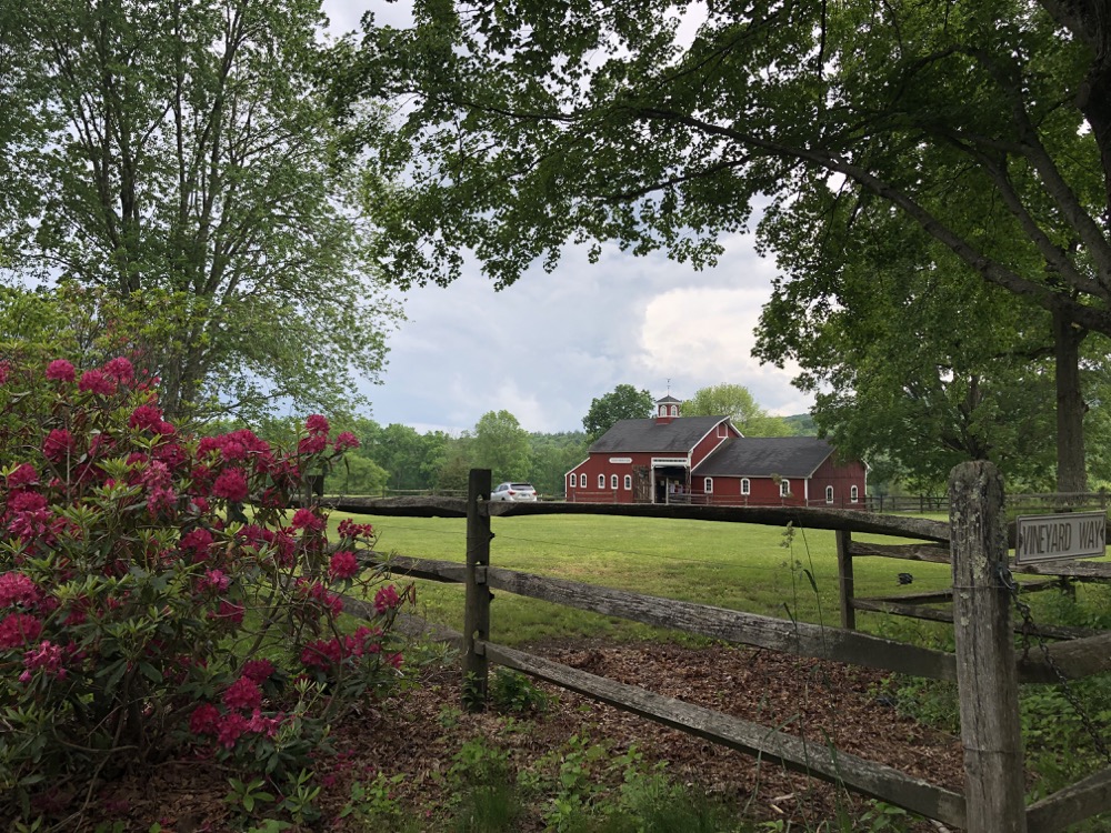 Cherry Brook Farm and Vineyard (Closed)