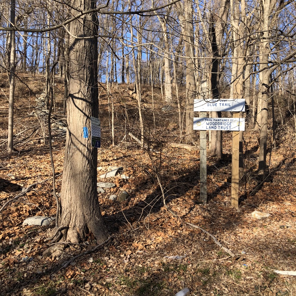 RWA Amity Road to Dillon Road