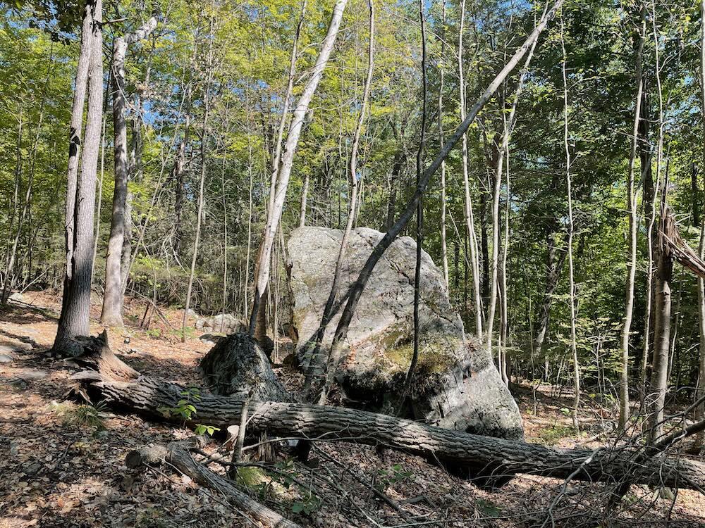 GLT KatanEnsor & Old Messenger Road Preserves