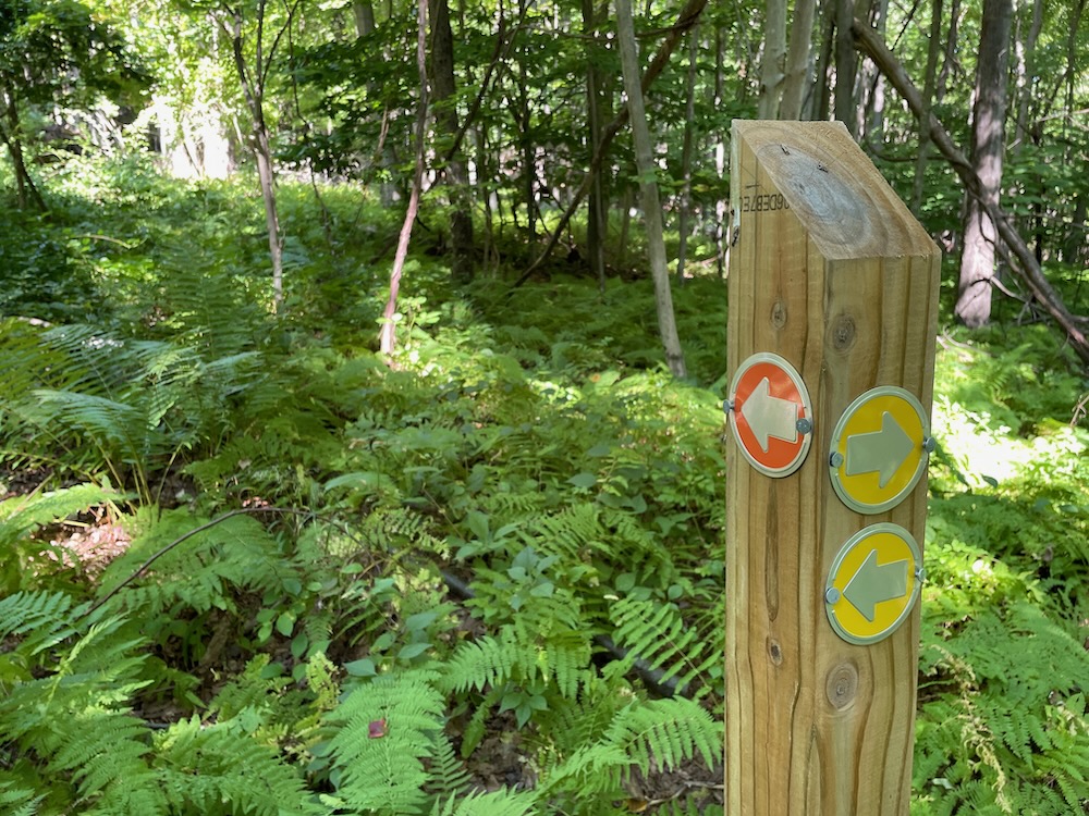 GLT KatanEnsor & Old Messenger Road Preserves