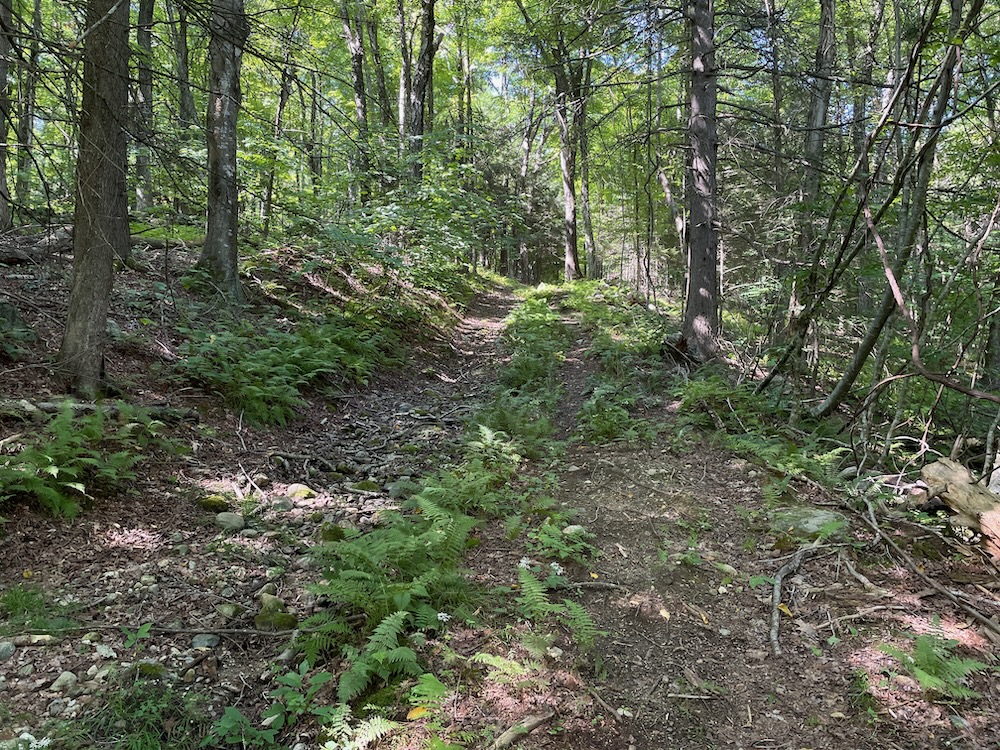 GLT KatanEnsor & Old Messenger Road Preserves