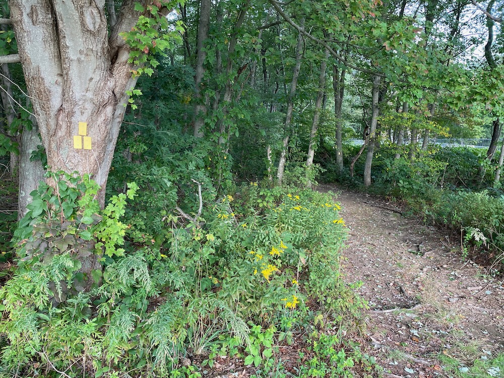 Bethany Airport Trails