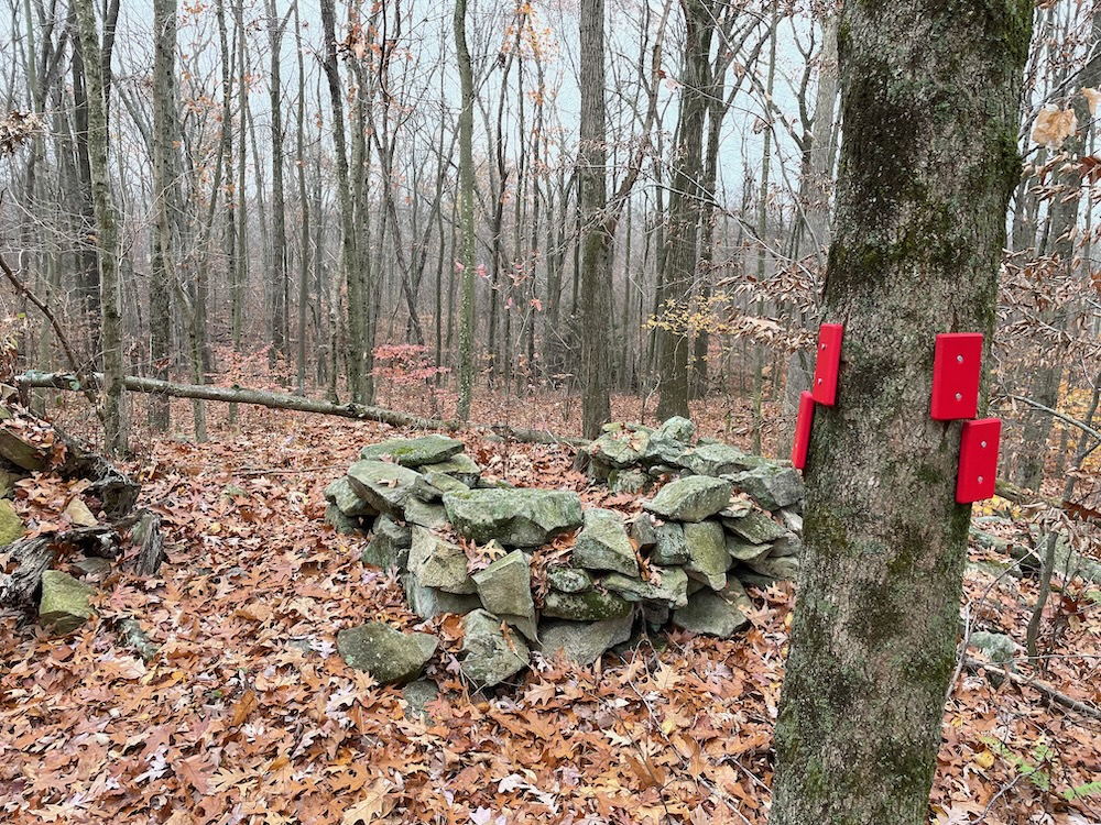 Bethany Airport Trails