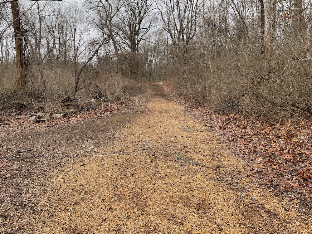 Cedar Mountain and Balf Nature Preserve