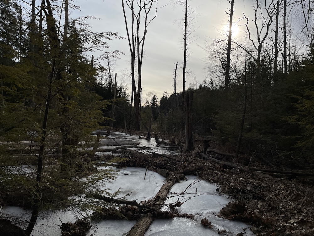 Hartland Land Trust Trails