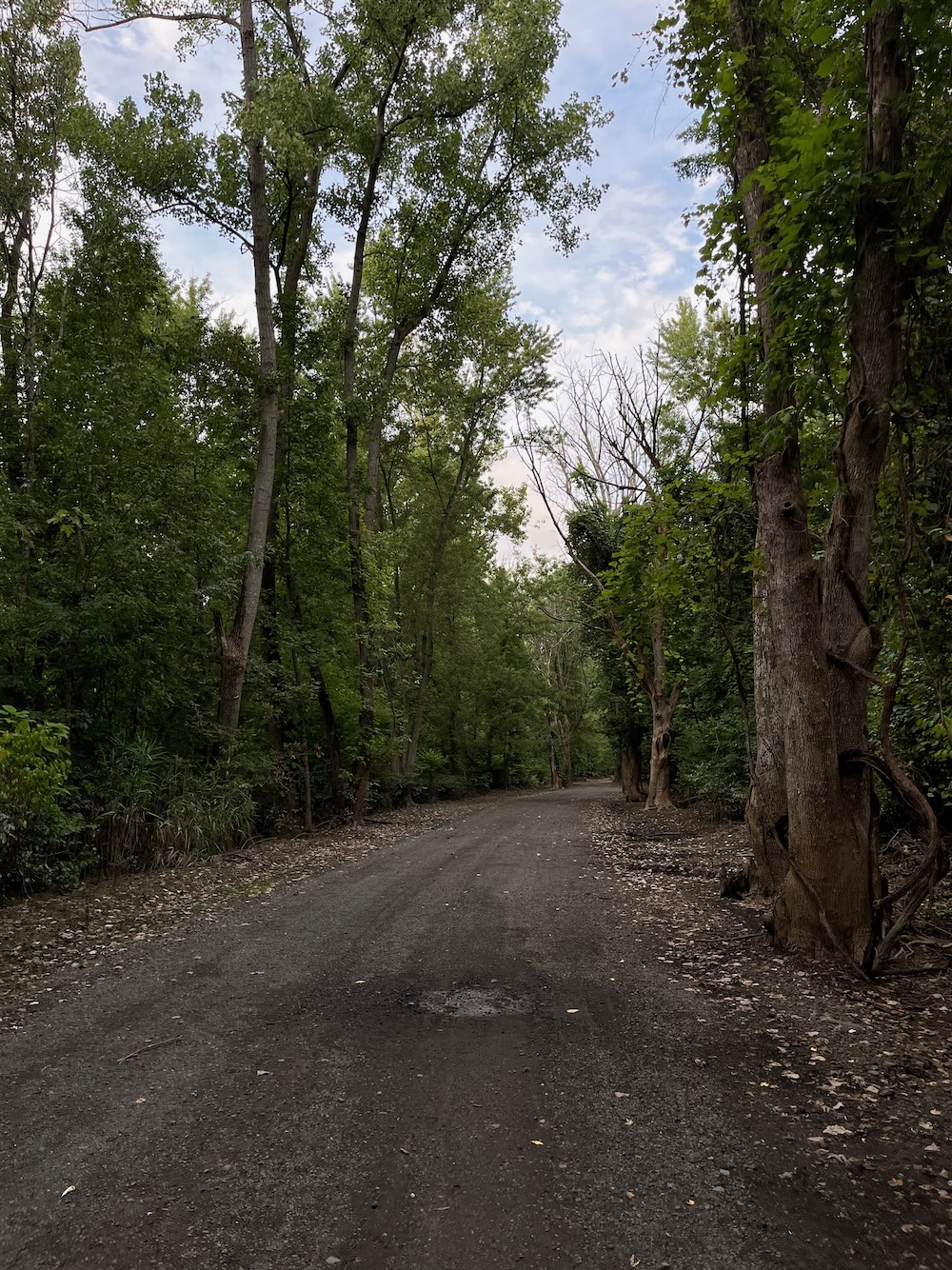 Ferry, Great Meadows, & Surwilo Parks
