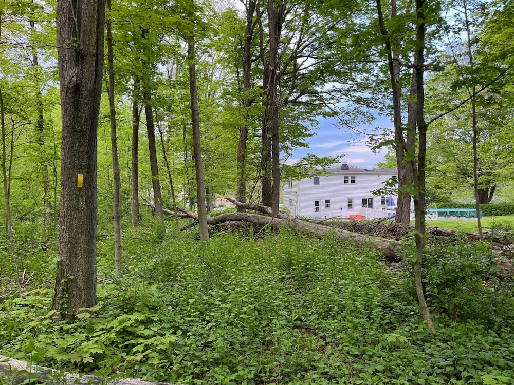 Edna L. Delano Nature Sanctuary & Rodell’s Roost for Robins