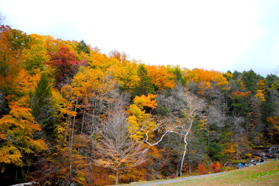 Town of Brookfield Visit CT