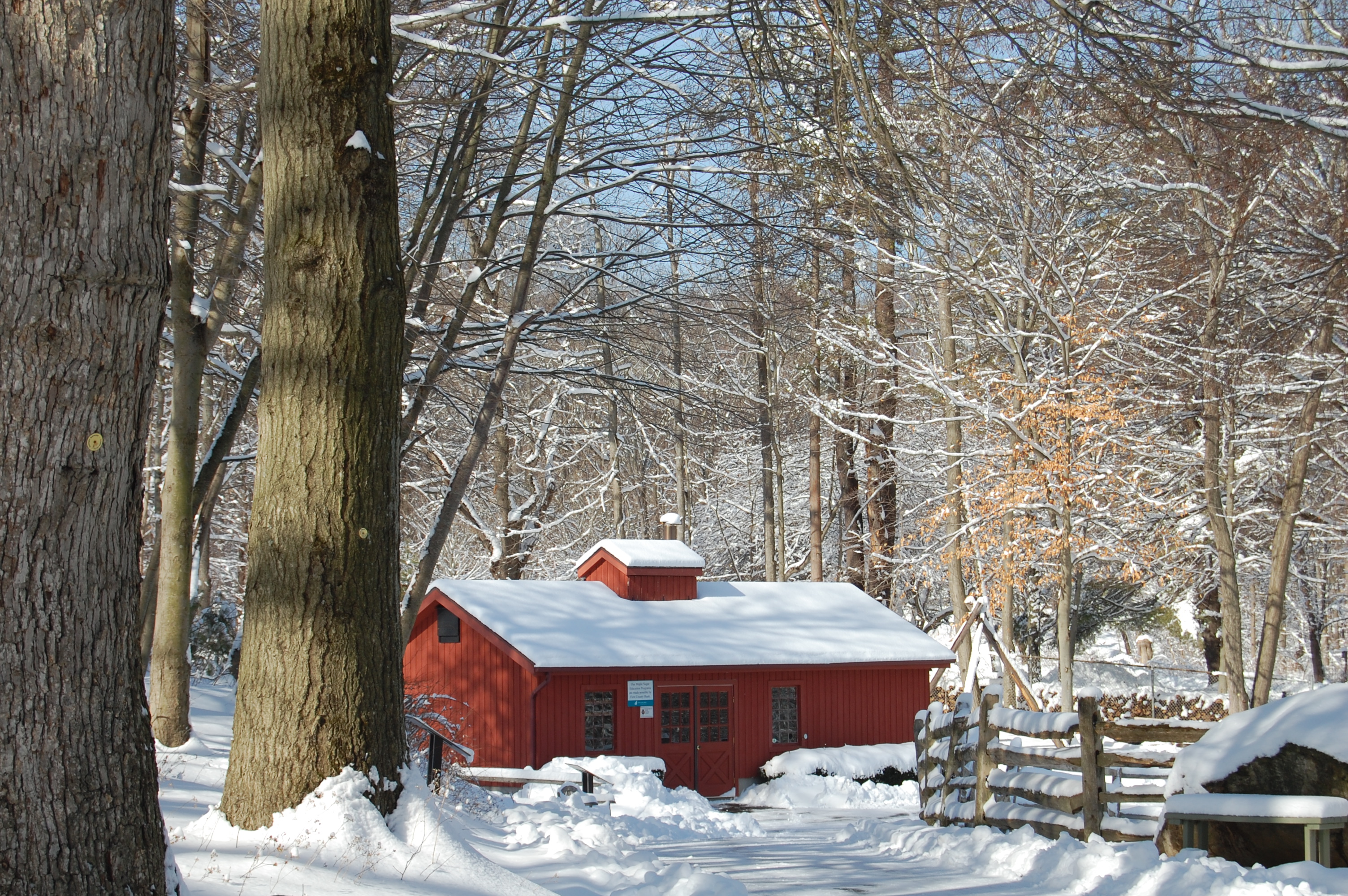 Maple Sugar Festival Weekend Visit CT