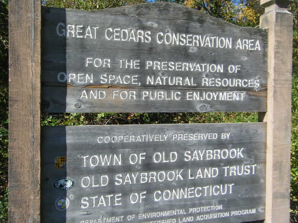 Great Cedars Conservation Area Visit CT
