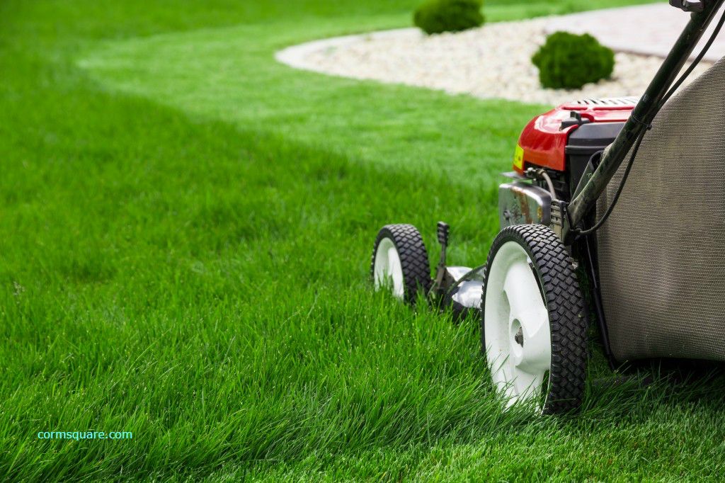 affordable lawn mowing Adelaide Is It Practical to Hire a Lawn Mowing
