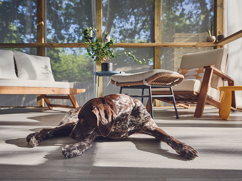 10 Easy Porch Ideas to Upgrade Your Space The Storage Space