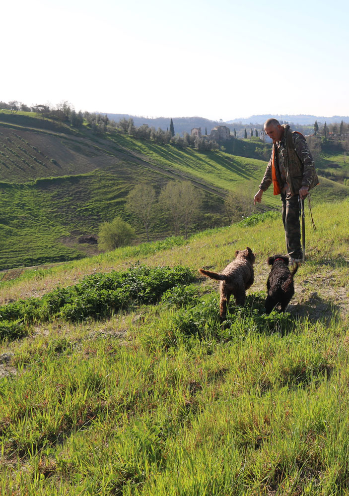 Tuscany Truffle Hunting in Chianti hills Italian Cooking School